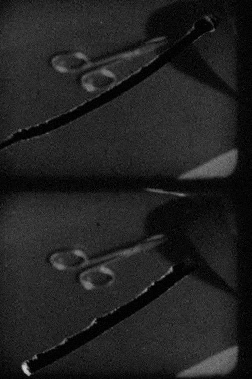 Snip, Snip (1968) poster