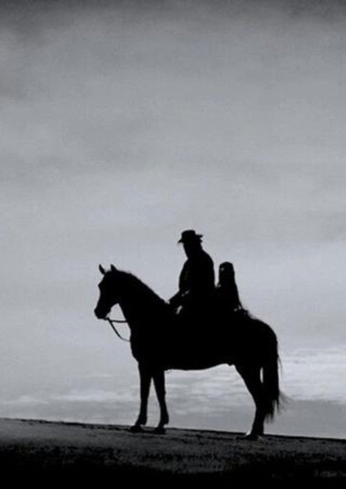 First Horse (2024) poster