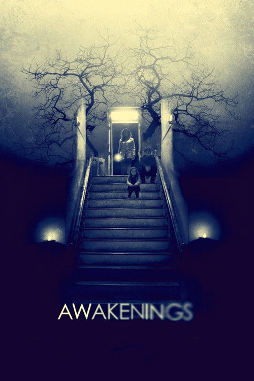 Awakenings (2015) poster