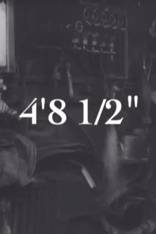 4'8 1/2" (2011) poster