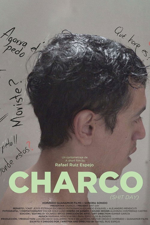 Charco (2020) poster