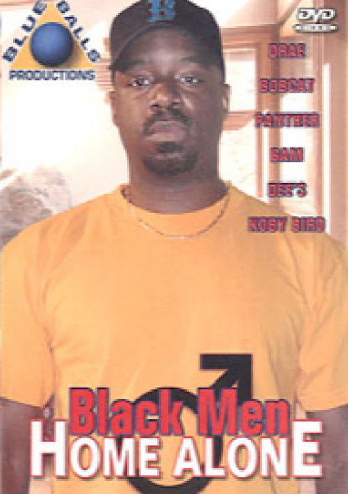 Black Men Home Alone (2006) poster