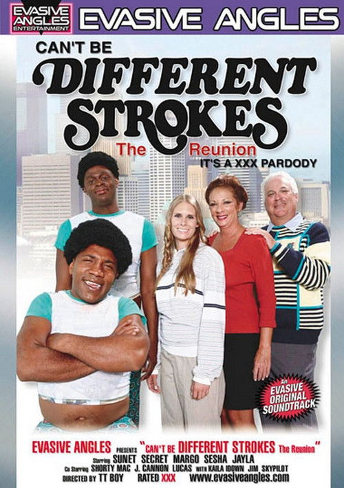 Can't Be Different Strokes: The Reunion (2010) poster