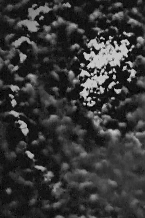 Snares (2017) poster