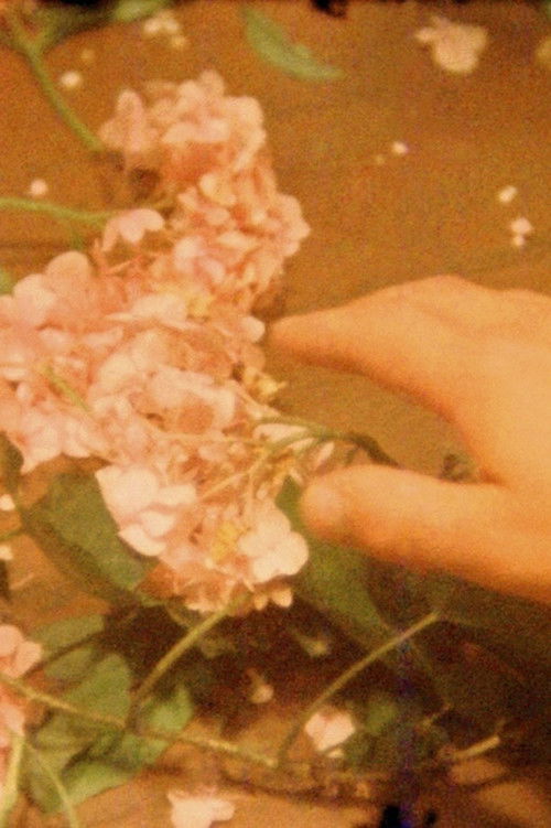 Psyche (1948) poster