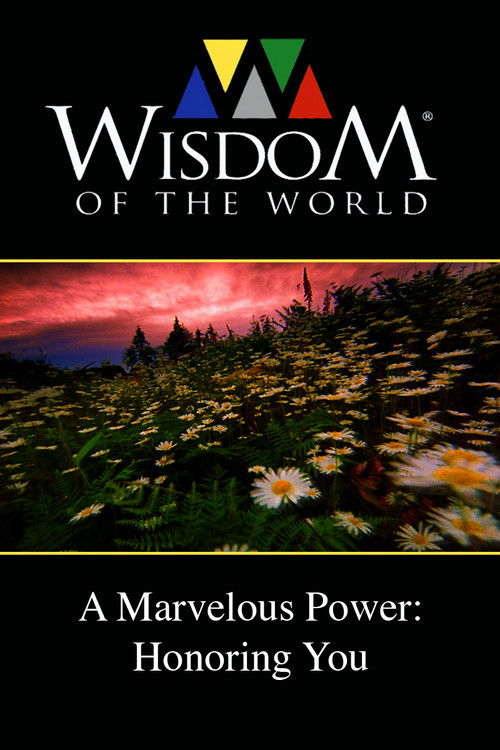 A Marvelous Power: Honoring You (2011) poster
