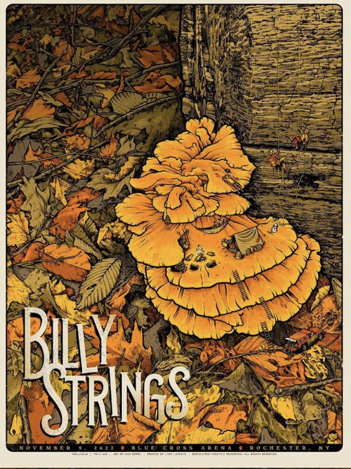 Billy Strings | 2022.11.09 — Blue Cross Arena - Rochester, NY (2022) poster