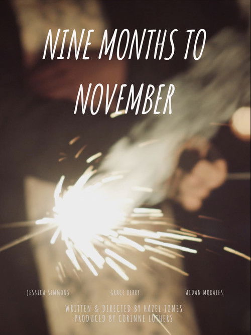 Nine Months to November (2022) poster