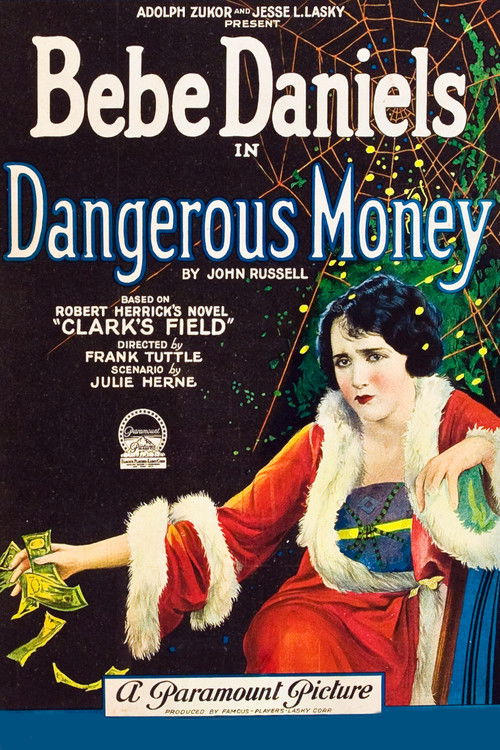 Dangerous Money (1924) poster