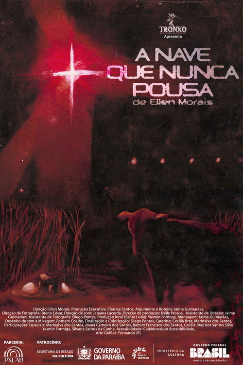 A Nave Que Nunca Pousa (2025) poster