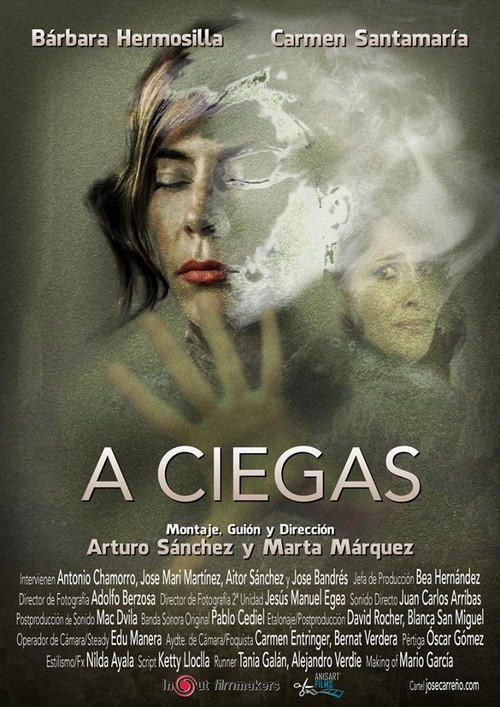 A ciegas (2016) poster