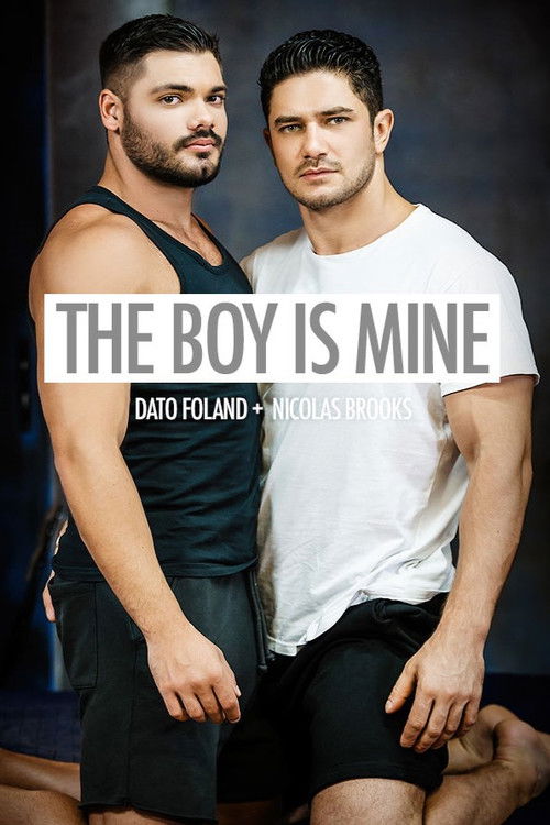 The Boy Is Mine (2017) poster