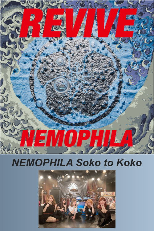 NEMOPHILA Soko to Koko (2021) poster