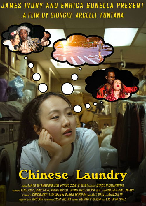 Chinese Laundry (2022) poster