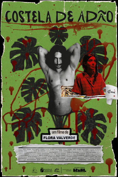 Costela de Adão poster