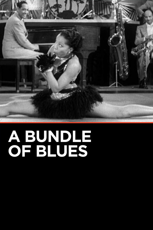 A Bundle of Blues (1933) poster
