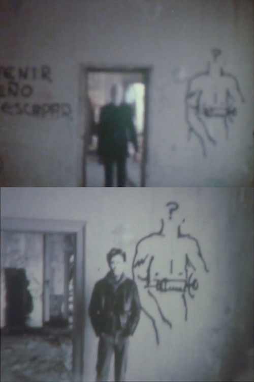 Heroin (1981) poster