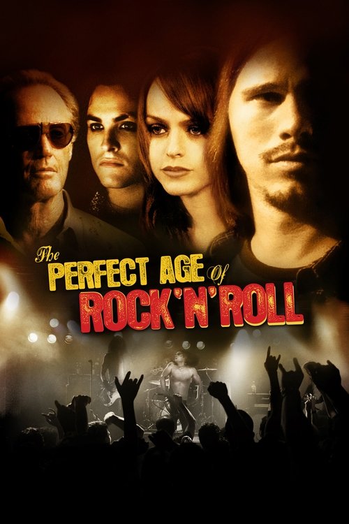 The Perfect Age of Rock 'n' Roll (2011) poster