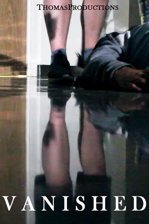 Vanished (2024) poster