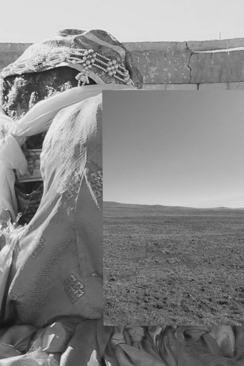 Petrogenesis, Petra Genetrix (2019) poster