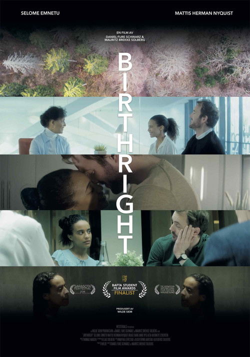 Birthright (2018) poster
