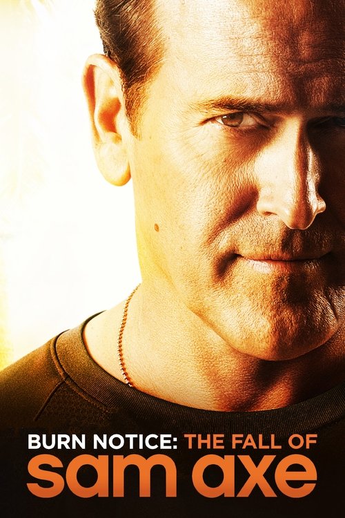 Burn Notice: The Fall of Sam Axe (2011) poster