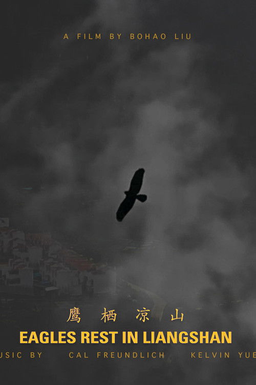 Eagles Rest in Liangshan (2021) poster