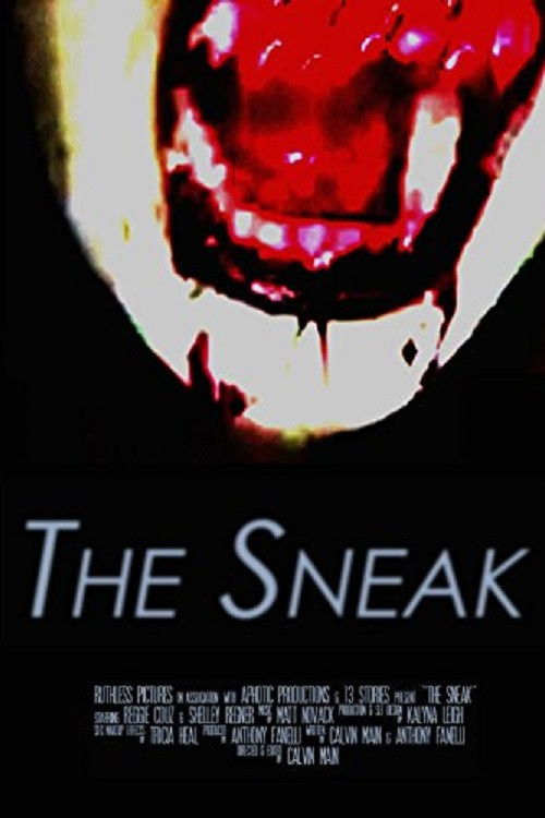 The Sneak (2016) poster