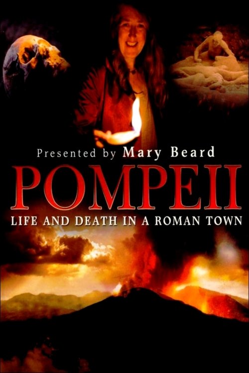 Pompeii: Life and Death in a Roman Town (2010) poster