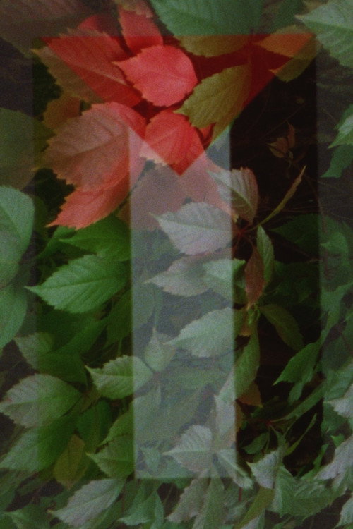 In Spite of Hell (2026) poster