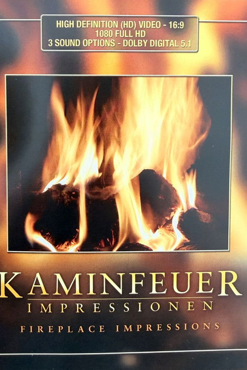 Fireplace Impressions (2008) poster
