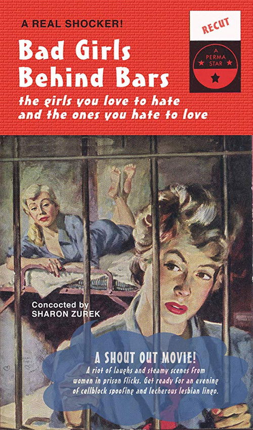 Bad Girls Behind Bars (2005) poster