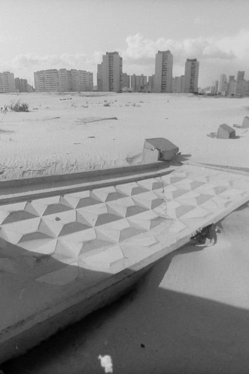 Даос оглядається (1998) poster