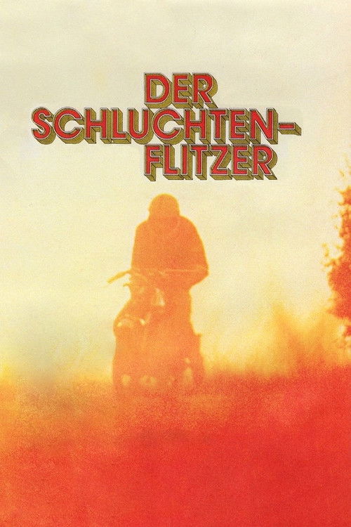 Der Schluchtenflitzer (1979) poster