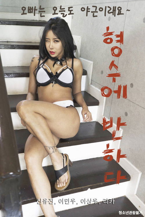 Fall in Love With the Brother-in-law (2020) poster