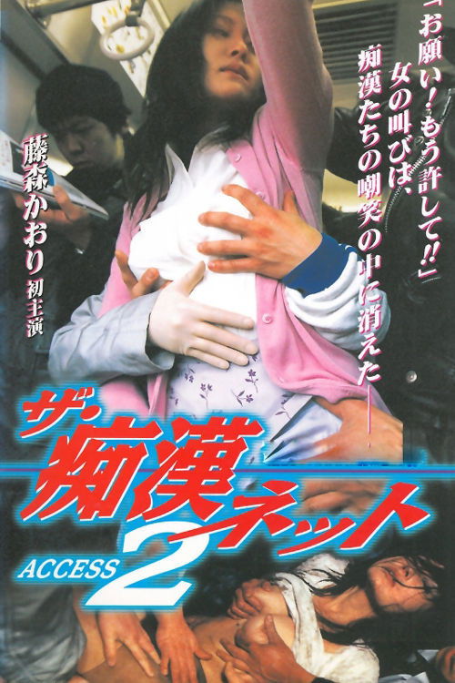 ザ・痴漢ネット  ACCESS 2 (1999) poster