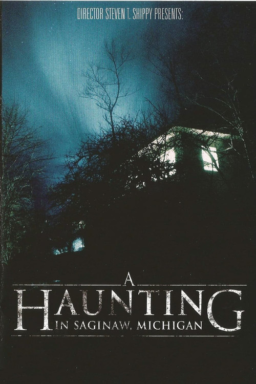 A Haunting in Saginaw, Michigan (2013) poster