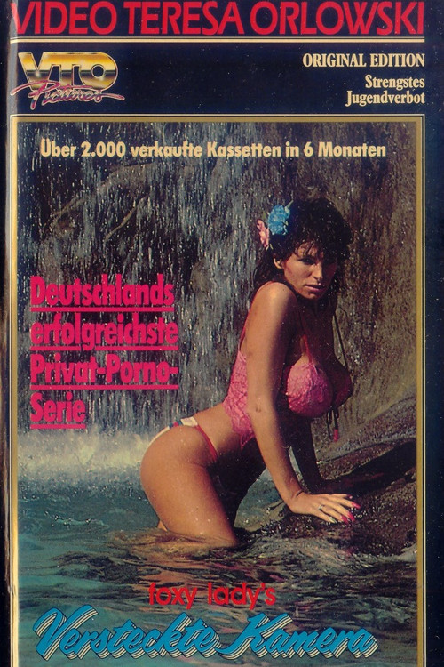 Foxy Lady's versteckte Kamera 2 (1985) poster