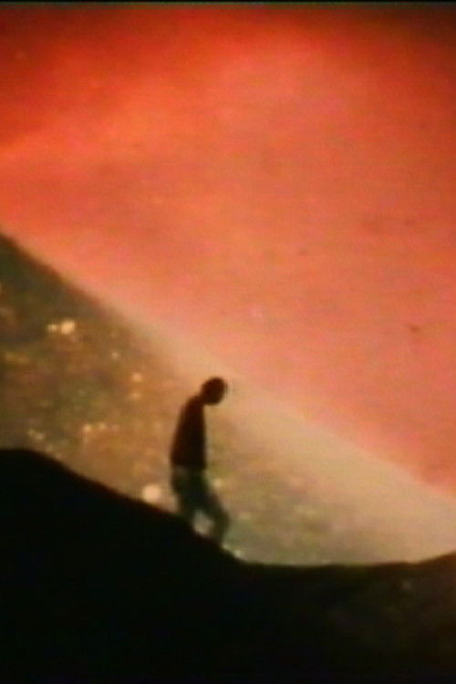 The Galactical North Pole lies in the Hair of Berenice (1990) poster