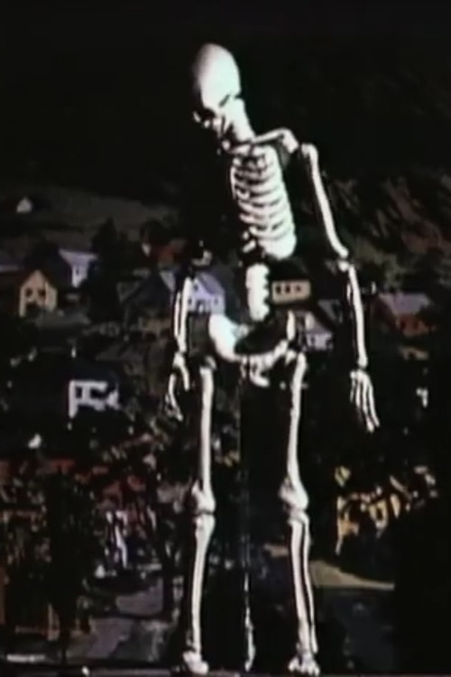 Taurus Test Footage (1965) poster