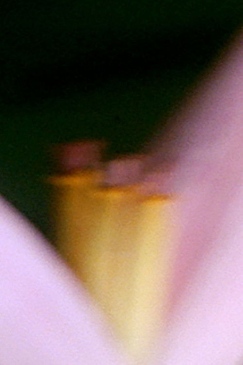 In the Era (2020) poster