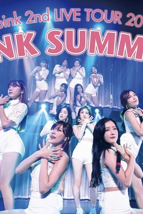 Apink 2nd LIVE TOUR 2016 -PINK SUMMER- (2016) poster