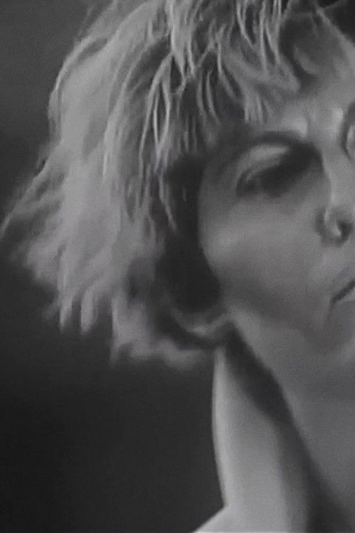 Excursiones (2001) poster