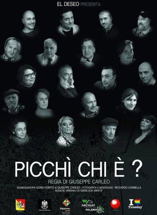Picchì chi è? (2013) poster