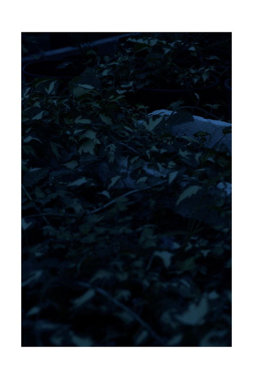 Erwartung (2015) poster