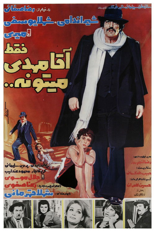 Only Mr. Mehdi Can (1978) poster