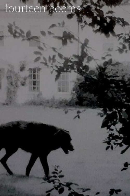 Fourteen poems poster