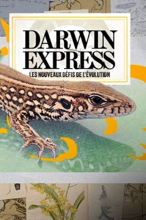 Darwin express - Les nouveaux défis de l'évolution (2025) poster