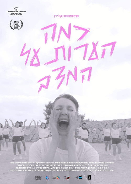 כמה הערות על המצב (2025) poster