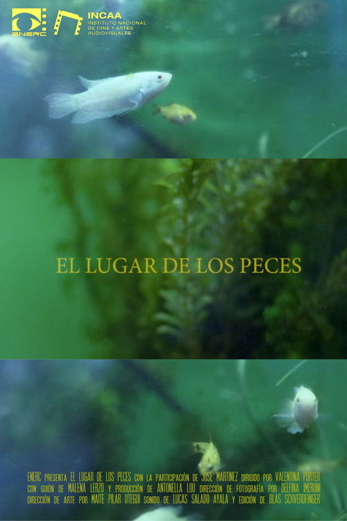 El Lugar de los Peces (2022) poster